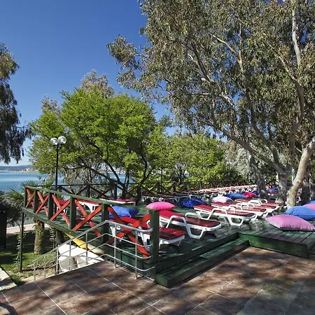 リゾート Halic Park